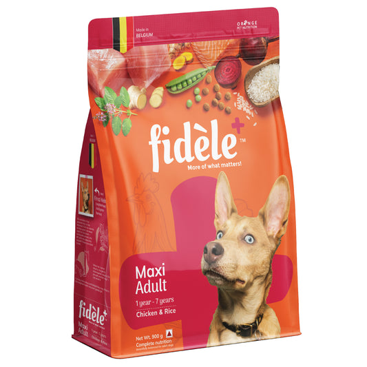 Fidele+ Maxi Adult Dry Dog Food