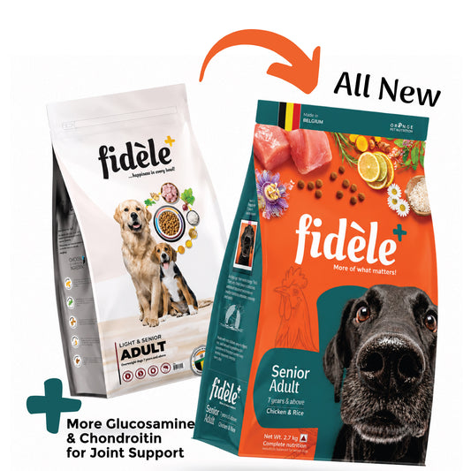 Fidele+ Senior Adult Dry Dog Food