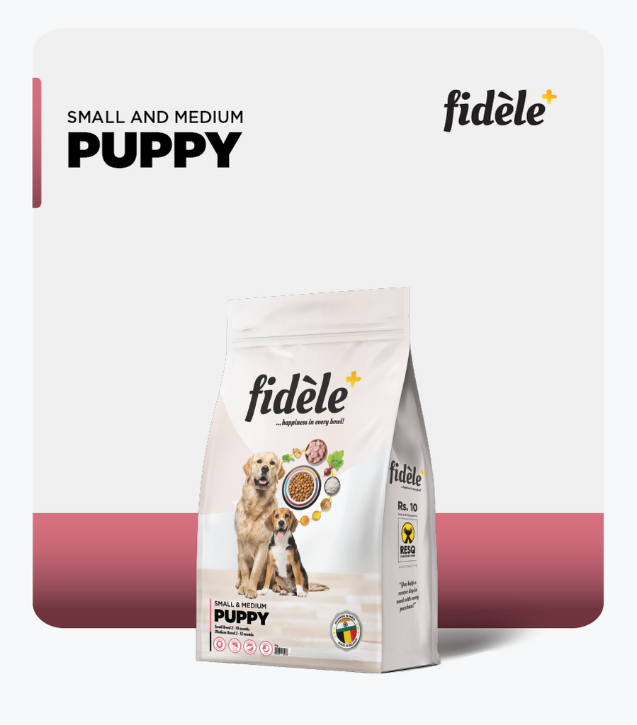 Fidele+ Small & Medium Breed Puppies Dry Dog Food - Fidele+