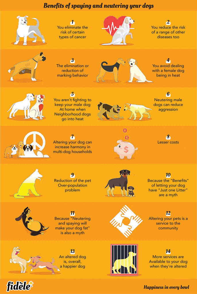 Benefits of spaying and neutering your dogs-01
