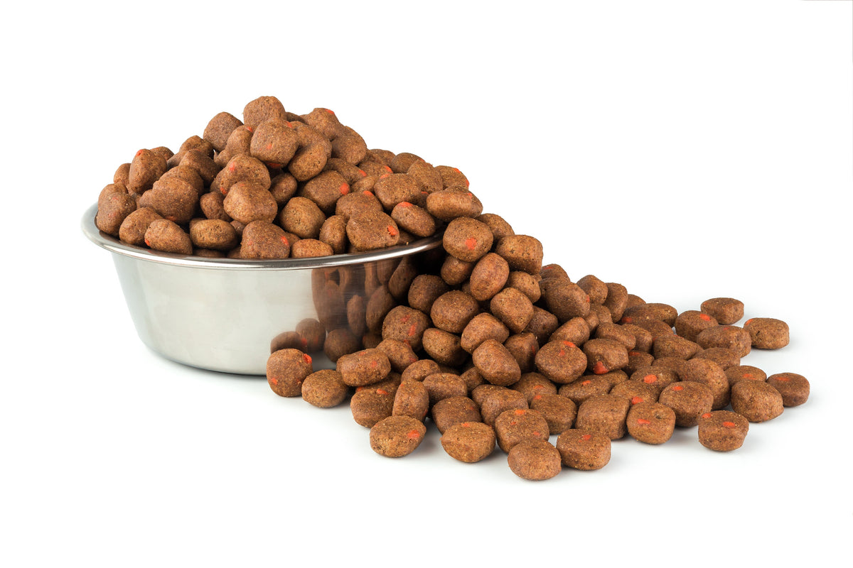 Pros of Kibble