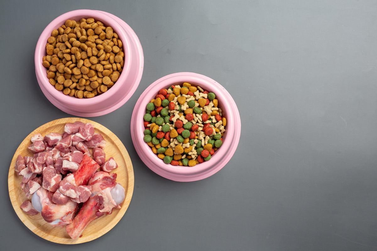 The Complete Benefits of Chicken for Dogs