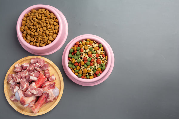 The Complete Benefits of Chicken for Dogs