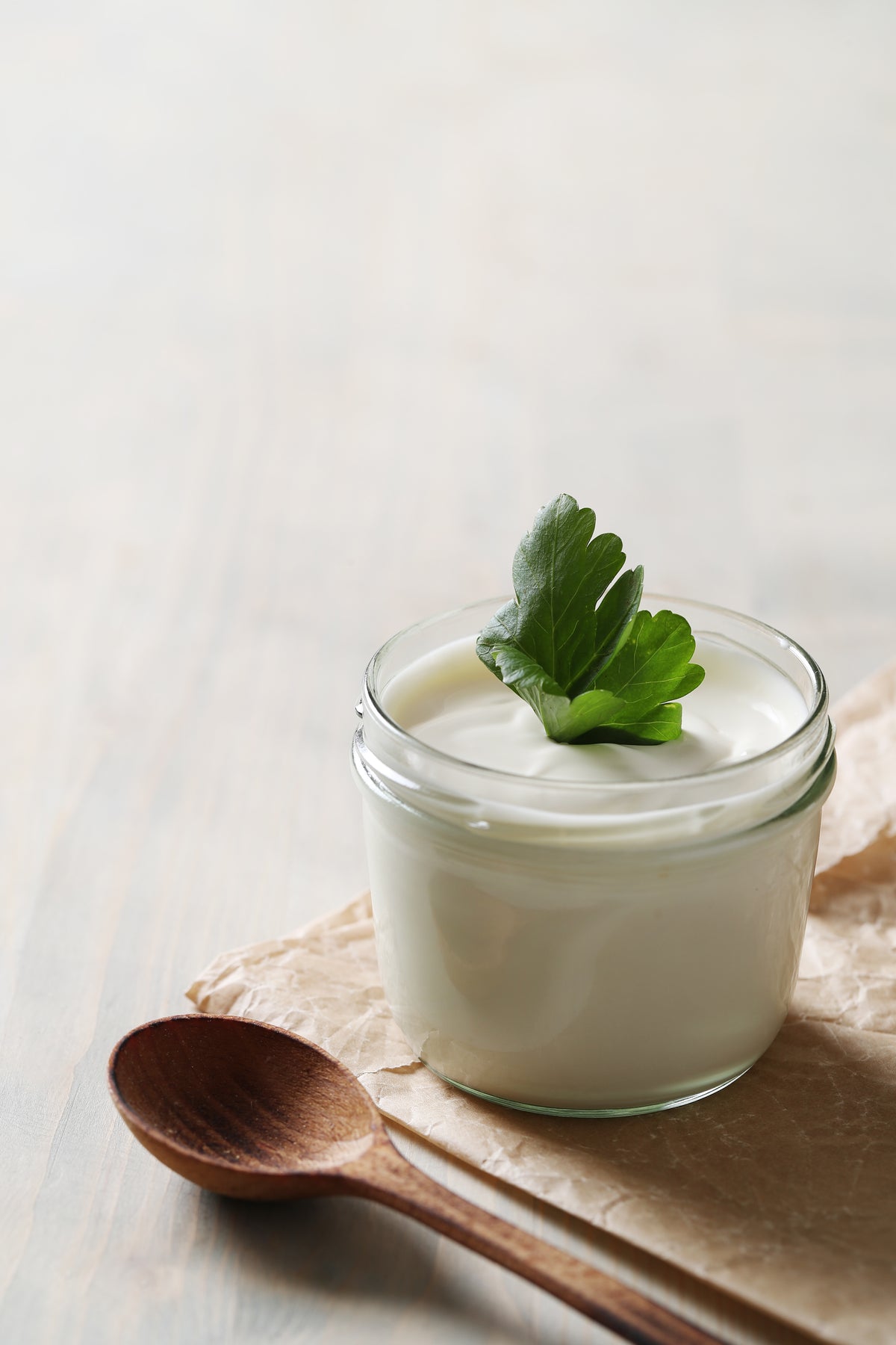 Top 6 Benefits of Probiotics in Dog Food