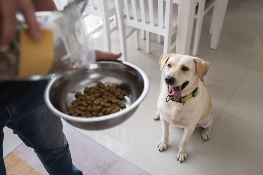 Gastrointestinal diet for clearance dogs