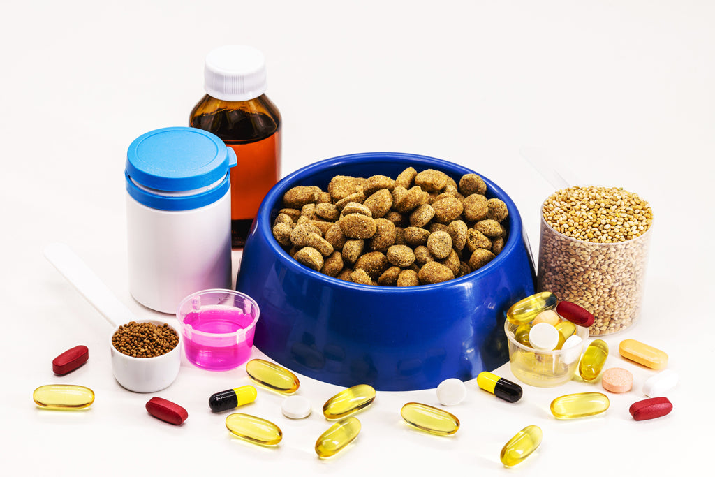 Supplements vs. Prescription: What Does Your Dog Really Need?