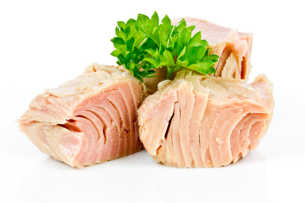 Why to Consider Premium Pet Food?