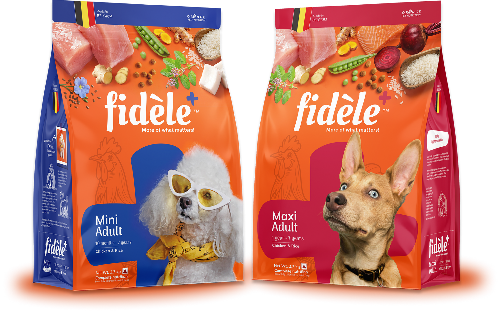 Adult Dog Food