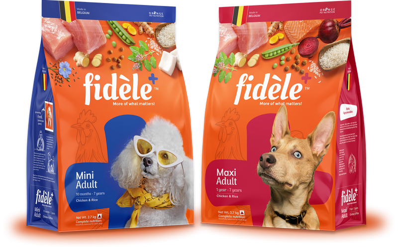 Adult Dog Food