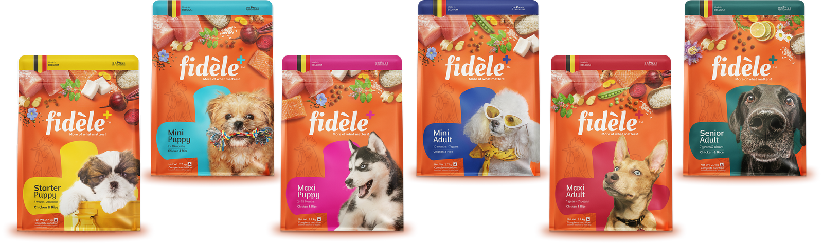 Dry Food
