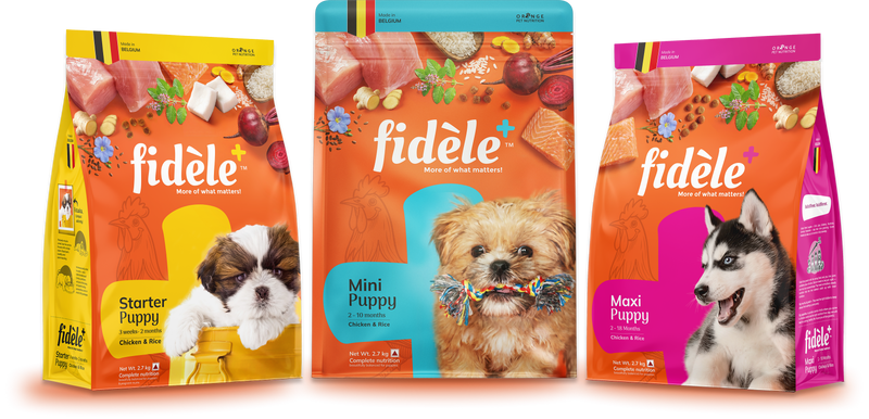 Puppy Food