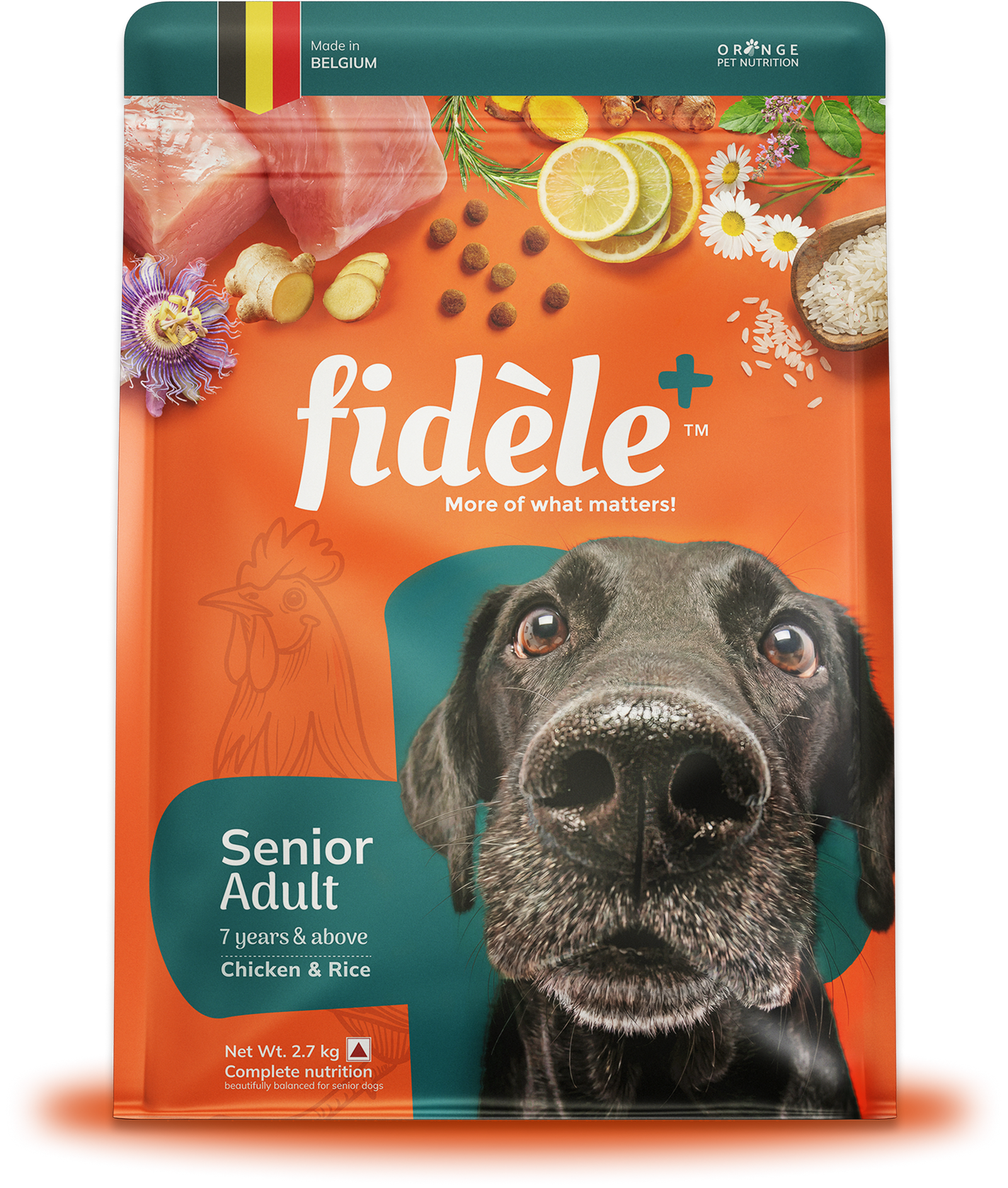Senior Dog Food