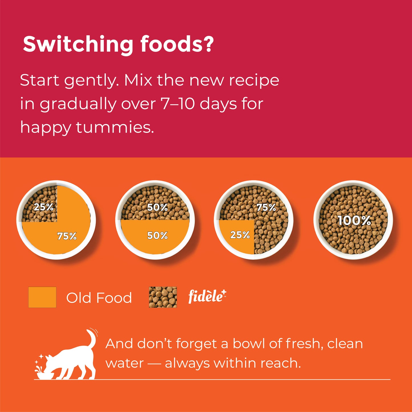 Fidele+ Maxi Adult Dry Dog Food