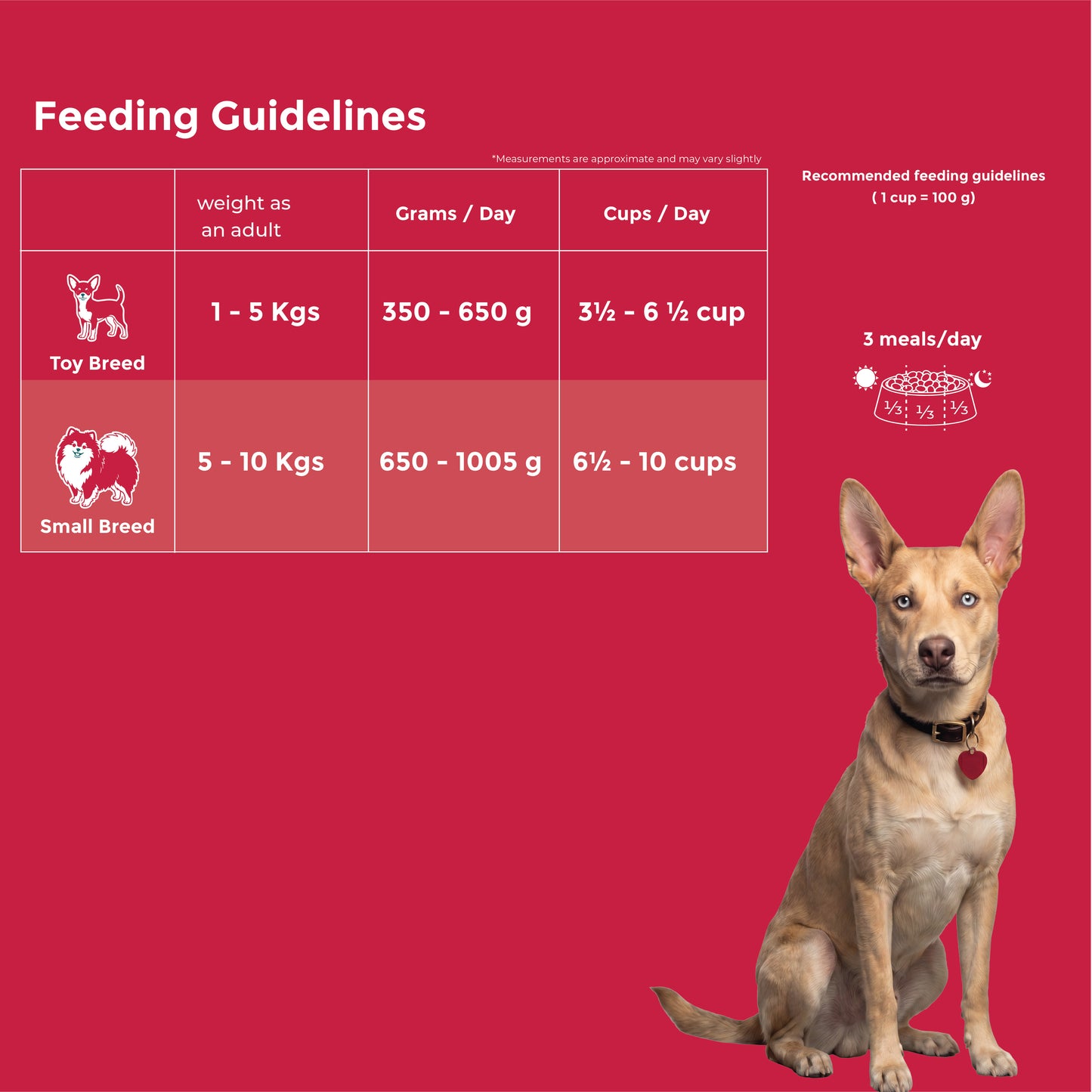 Fidele+ Maxi Adult Dry Dog Food