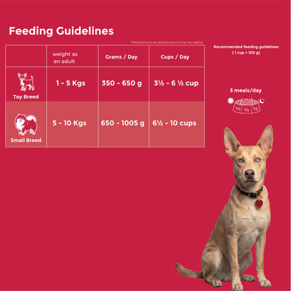 Fidele+ Maxi Adult Dry Dog Food