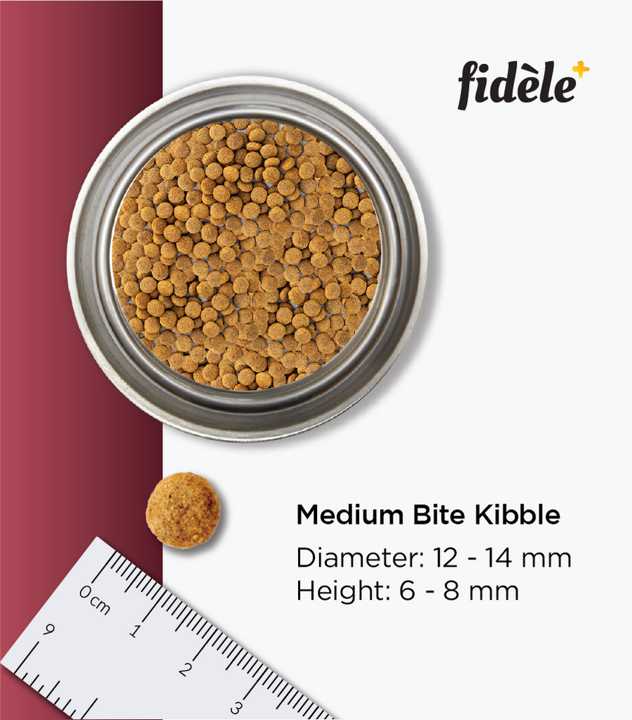 Fidele+ Light and Senior Adult Dry Dog Food - Fidele+