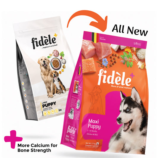 Fidele+ Maxi Puppy Dry Dog Food