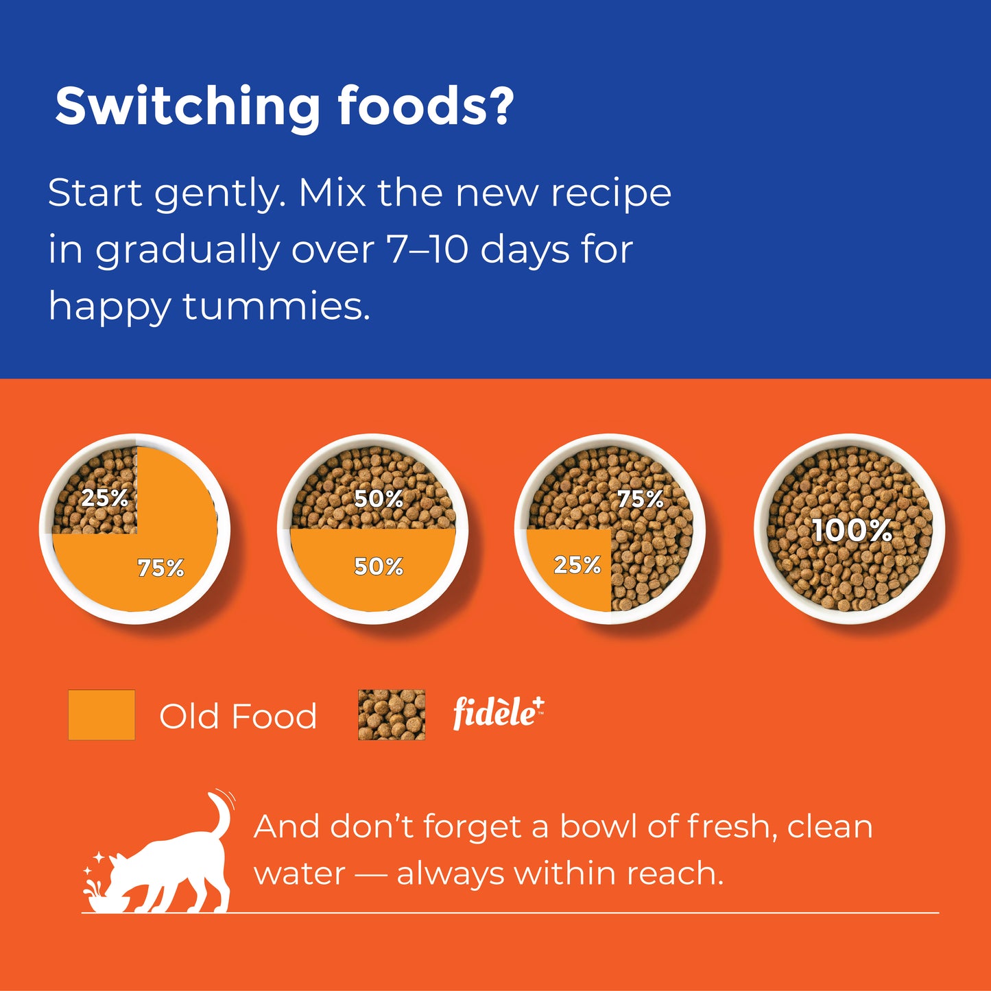 Fidele+ Mini Adult Dry Dog Food