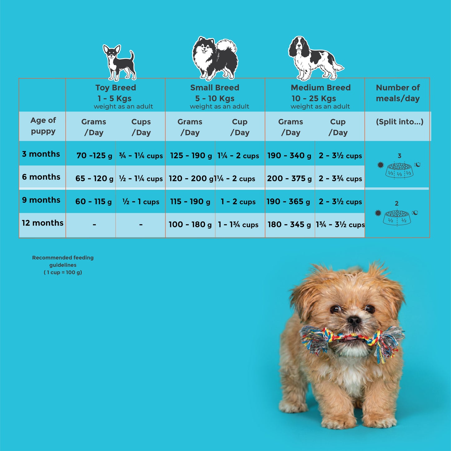 Fidele+ Mini Puppy Dry Dog Food