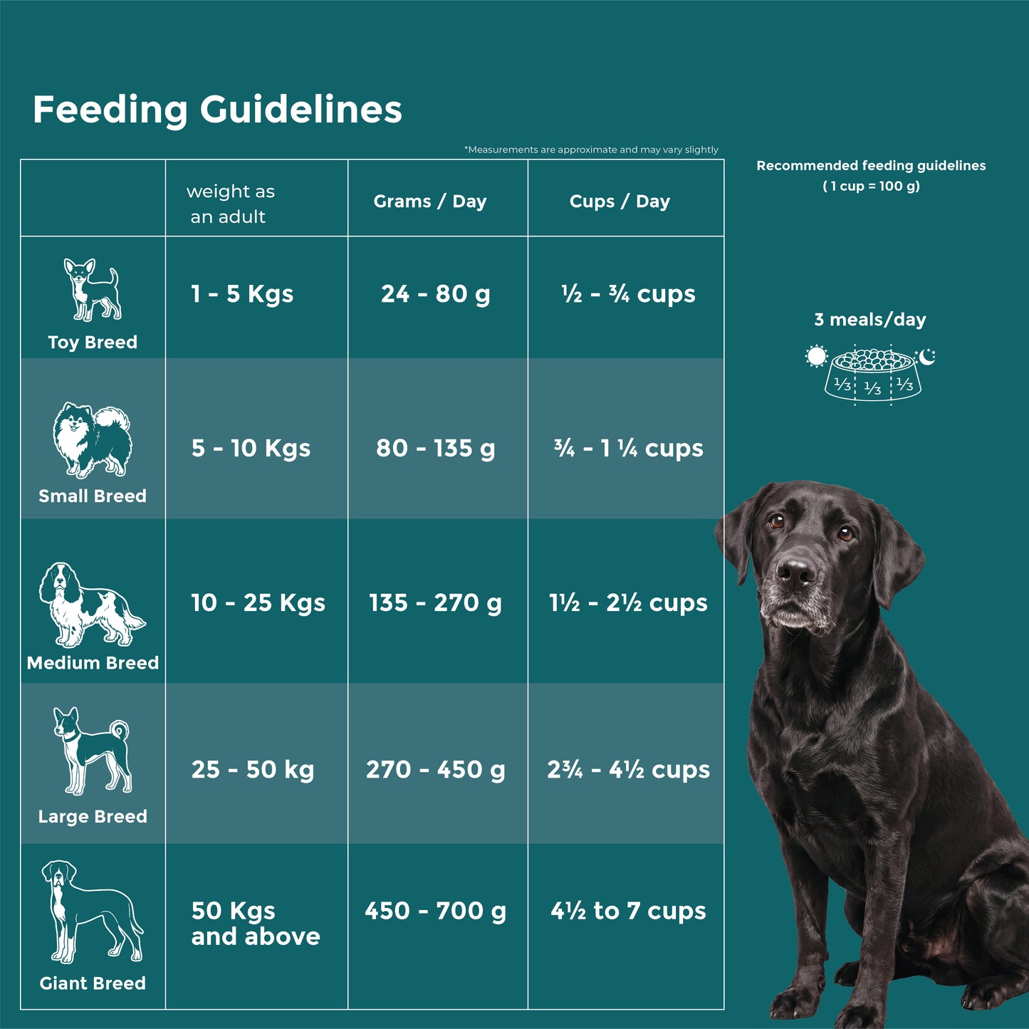 Fidele+ Senior Adult Dry Dog Food