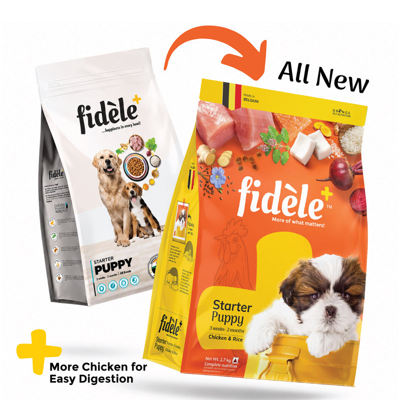 All Dog Food