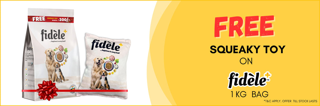 Fidele Fidele+ Dog Food | Adult and puppy dry food | Premium Food | Order now ...