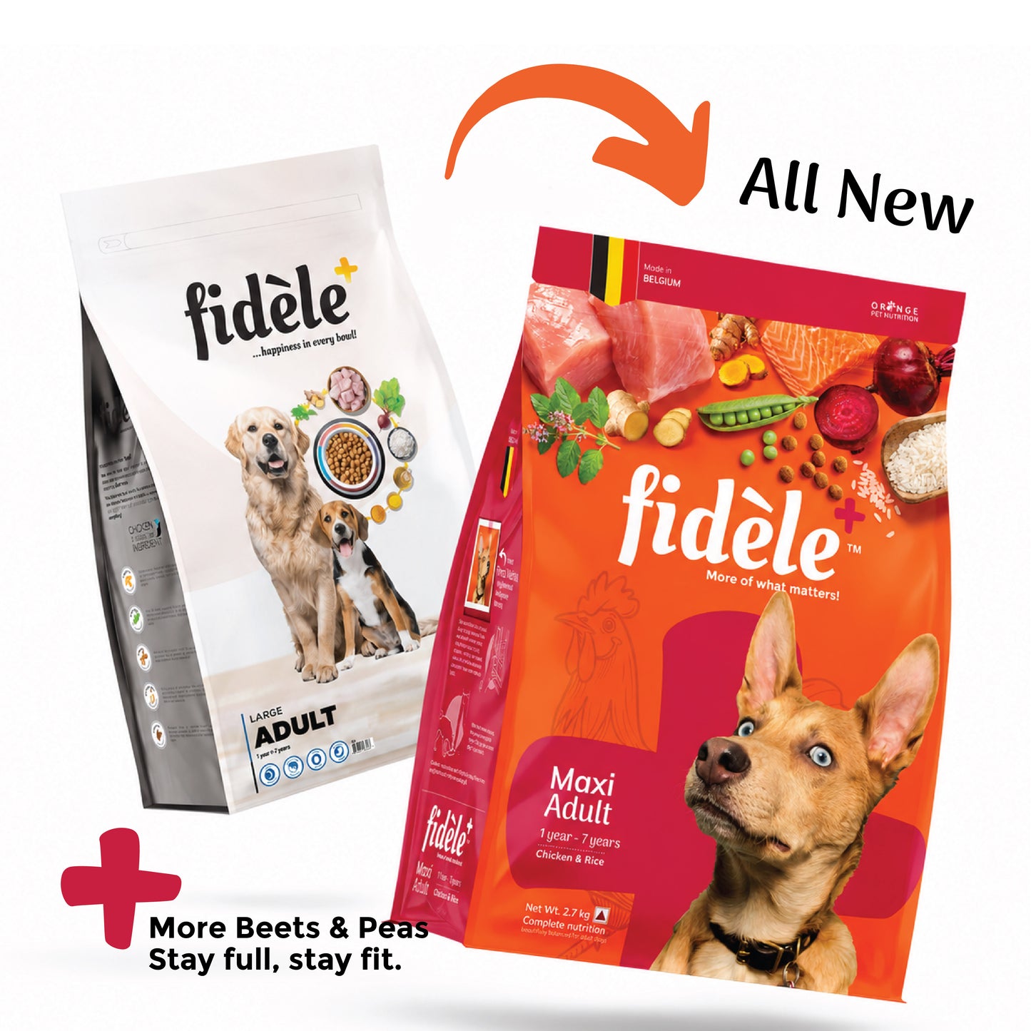 Fidele+ Maxi Adult Dry Dog Food