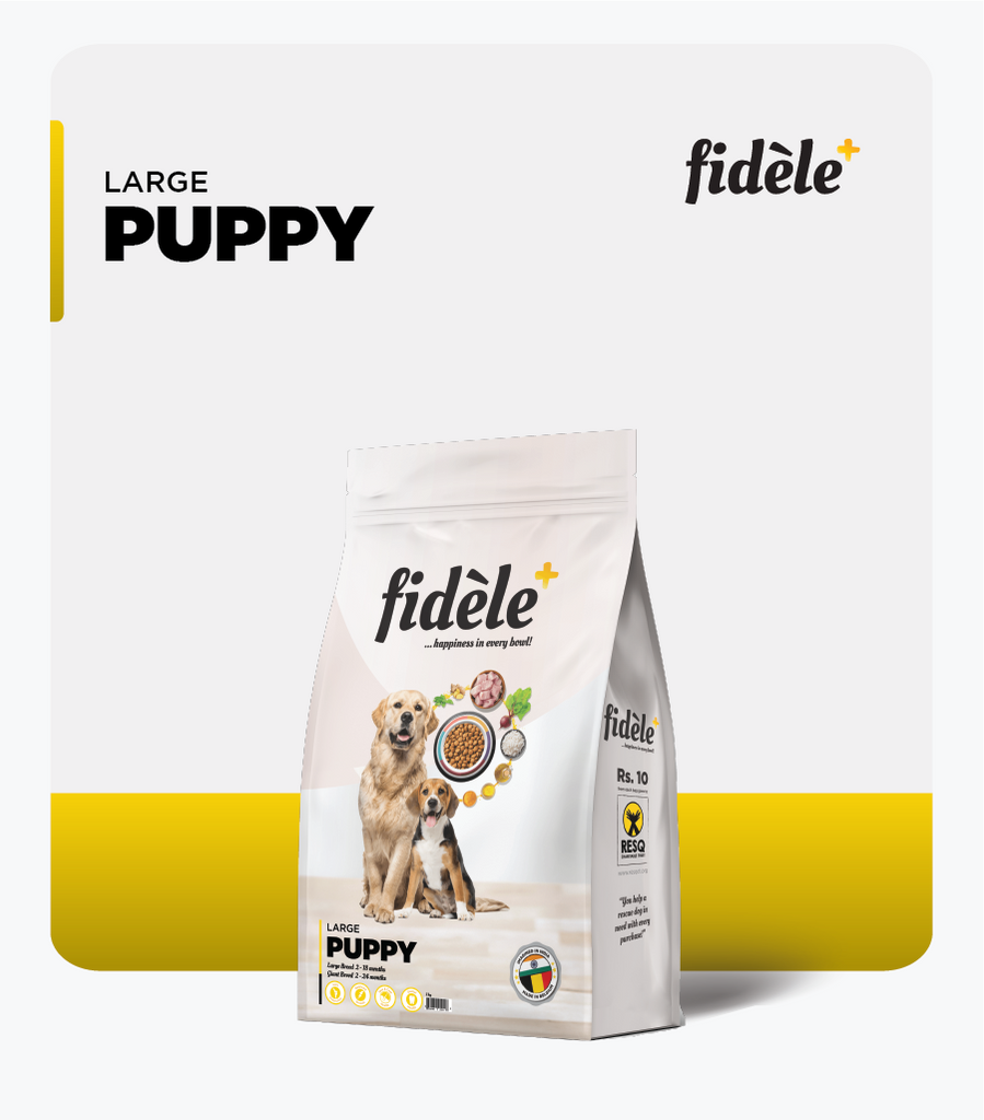 Fidele+ Large Breed Puppies Dry Dog Food - Fidele+