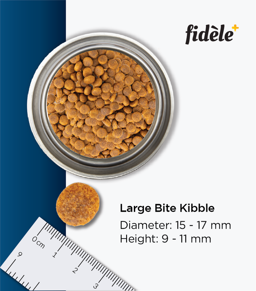 Fidele+ Large Breed Adult Dry Dog Food - Fidele+