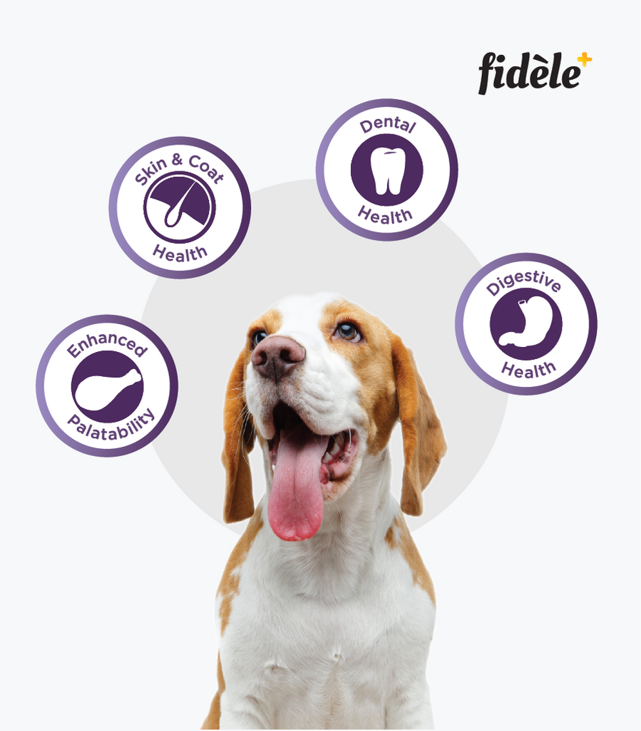 Fidele+ Small & Medium Breed Adult Dry Dog Food - Fidele+