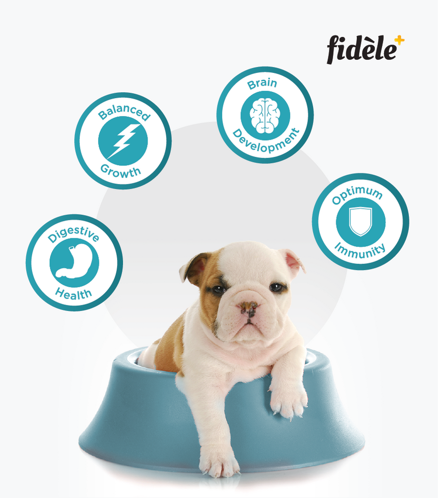 Fidele+ Weaning Puppies & Nurturing Mothers Dry Dog Food - Fidele+
